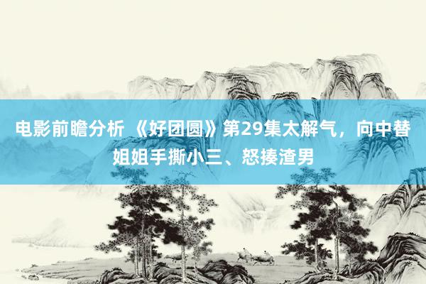 电影前瞻分析 《好团圆》第29集太解气，向中替姐姐手撕小三、怒揍渣男